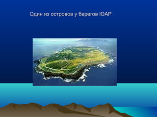 Один из ооссттррооввоовв уу ббееррееггоовв ЮЮААРР 
 