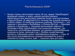 РРаассттииттееллььннооссттьь ЮЮААРР 
• Флора страны насчитывает около 16 тыс. видов. Преобладают 
формации саванн, и здесь широко распространены 
характерные для засушливых районов почвы типа каштановых 
и красно-бурые. В зависимости от количества осадков меняется 
и облик саванн. В наиболее влажных районах (Зулуленд) — это 
саванна с пальмами и баобабами, в Низком Вел-де — парковая 
саванна, в Бушвелде — акациево-молочаевая саванна; в 
Калахари и Кару преобладают опустыненные саванны, где 
также есть сухолюбивые деревья, кустарники и разнообразные 
суккуленты (алоэ, молочаи и др.). Особую хозяйственную 
ценность в Калахари имеют своеобразные впадины — пэны. В 
них после кратковременных дождей скапливается влага и 
появляется ковер сочных трав — хороший корм для овец. 
 