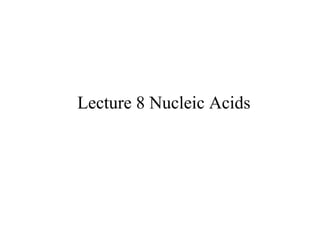 Lecture 8 Nucleic Acids 
 