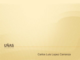 UÑAS
Carlos Luis Lopez Carranza
 
