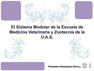 El Sistema Modular de la Escuela de
Medicina Veterinaria y Zootecnia de la
U.A.S.
FERNANDO HERNÁNDEZ ORTELA
 