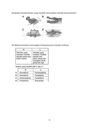 11
28.Apakah interaksi berikut, yang manakah menunjukkan interaksi komensalisme?
29. Maklumat berikut menerangkan tentang dua jenis interaksi simbiosis.
 