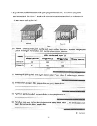 16
4. Rajah 4 menunjukkan keadaan anak ayam yang dibela di dalam 2 buah reban yang sama
saiz.iaitu reban P dan reban Q. Anak anak ayam dalam setiap reban diberikan makanan dan
air yang sama pada setiap hari.
( 4 markah)
 