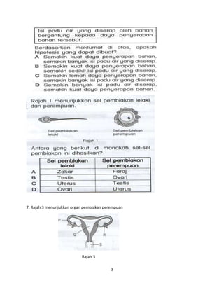 3
7. Rajah 3 menunjukkan organ pembiakan perempuan
Rajah 3
 