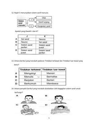 5
12. Rajah 5 menunjukkan sistem saraf manusia.
Apakah yang diwakili J dan K?
13. Antara berikut yang manakah padanan Tindakan terkawal dan Tindakan luar kawal yang
betul?
14. Antara penyakit berikut yang manakah disebabkan oleh kegagalan sistem saraf untuk
berfungsi?
 