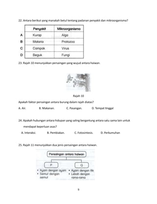 9
22. Antara berikut yang manakah betul tentang padanan penyakit dan mikroorganisma?
23. Rajah 10 menunjukkan persaingan yang wujud antara haiwan.
Rajah 10
Apakah faktor persaingan antara burung dalam rajah diatas?
A. Air. B. Makanan. C. Pasangan. D. Tempat tinggal
24. Apakah hubungan antara hidupan yang saling bergantung antara satu sama lain untuk
mendapat keperluan asas?
A. Interaksi. B. Pembiakan. C. Fotosintesis. D. Perkumuhan
25. Rajah 11 menunjukkan dua jenis persaingan antara haiwan.
 