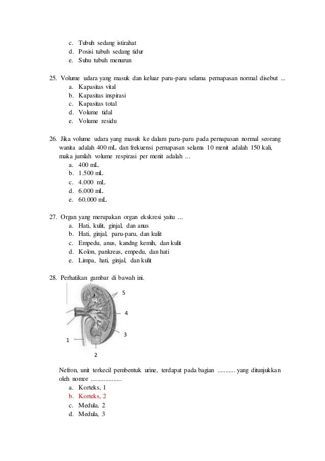 Uas biologi kelas xii nugi