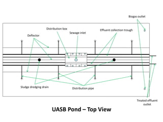 Sewage inlet
Distribution box Effluent collection trough
Distribution pipe
Deflector
Treated effluent
outlet
Biogas outlet
UASB Pond – Top View
Sludge dredging drain
 
