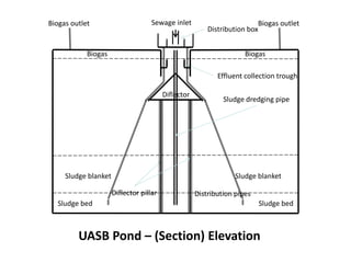 UASB Pond – (Section) Elevation
Sewage inlet Biogas outletBiogas outlet
Distribution pipesDiflector pillar
Sludge bedSludge bed
Sludge blanket Sludge blanket
Diflector
Effluent collection trough
Sludge dredging pipe
Distribution box
Biogas Biogas
 