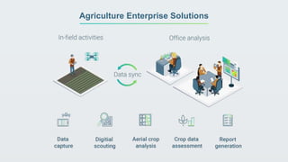 Agriculture Enterprise Solutions
 
