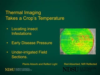 Thermal Imaging
Takes a Crop’s Temperature
Plants Absorb and Reflect Light Red Absorbed, NIR Reflected
• Locating insect
Infestations
• Early Disease Pressure
• Under-irrigated Field
Sections.
 