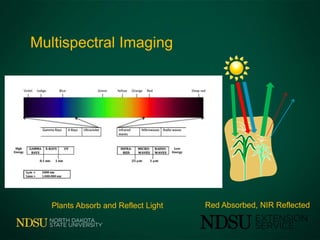 Multispectral Imaging
Plants Absorb and Reflect Light Red Absorbed, NIR Reflected
 