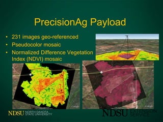 • 231 images geo-referenced
• Pseudocolor mosaic
• Normalized Difference Vegetation
Index (NDVI) mosaic
PrecisionAg Payload
 
