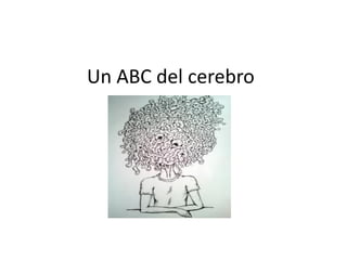 Un ABC del cerebro
 