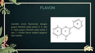 FLAVON
memiliki cincin flavonoida dengan
gugus hidroksil pada posisi 3, 4, dan
5, serta gugus hidroksil pada posisi 2
dan 7. Contoh flavon adalah apigenin
dan luteolin.
 