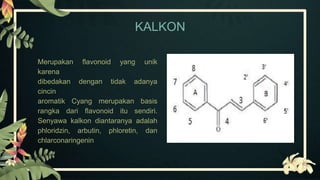 KALKON
Merupakan flavonoid yang unik
karena
dibedakan dengan tidak adanya
cincin
aromatik Cyang merupakan basis
rangka dari flavonoid itu sendiri.
Senyawa kalkon diantaranya adalah
phloridzin, arbutin, phloretin, dan
chlarconaringenin
 