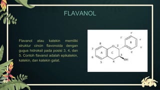 FLAVANOL
Flavanol atau katekin memiliki
struktur cincin flavonoida dengan
gugus hidroksil pada posisi 3, 4, dan
5. Contoh flavanol adalah epikatekin,
katekin, dan katekin galat.
 