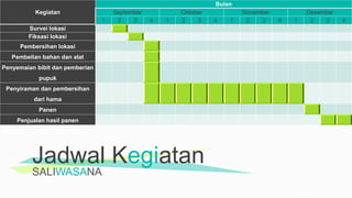 SALIWASANA
Jadwal Kegiatan
Kegiatan
Bulan
September Oktober November Desember
1 2 3 4 1 2 3 4 1 2 3 4 1 2 3 4
Survei lokasi
Fiksasi lokasi
Pembersihan lokasi
Pembelian bahan dan alat
Penyemaian bibit dan pemberian
pupuk
Penyiraman dan pembersihan
dari hama
Panen
Penjualan hasil panen
 