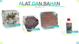 The Power of PowerPoint - thepopp.com
SLIDE 19
ALAT DAN BAHAN
Benih sawi
Pupuk kandang
Pupuk ponska
Pestisida
 