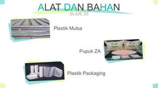 The Power of PowerPoint - thepopp.com
SLIDE 20
Plastik Mulsa
ALAT DAN BAHAN
Plastik Packaging
Pupuk ZA
 