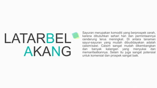 LATARBEL
AKANG
Sayuran merupakan komoditi yang berprospek cerah,
karena dibutuhkan sehari hari dan permintaannya
cenderung terus meningkat. Di antara tanaman
sayur-sayuran yang mudah dibudidayakan adalah
caisim/sawi. Caisim sangat mudah dikembangkan
dan banyak kalangan yang menyukai dan
memanfaatkannya. Selain itu juga sangat potensial
untuk komersial dan prospek sangat baik.
 