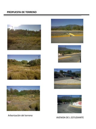 PROPUESTA DE TERRENO




Arborización del terreno
                           AVENIDA DE L ESTUDIANTE
 