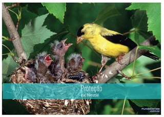 Proteção
ex: Nestlé
 