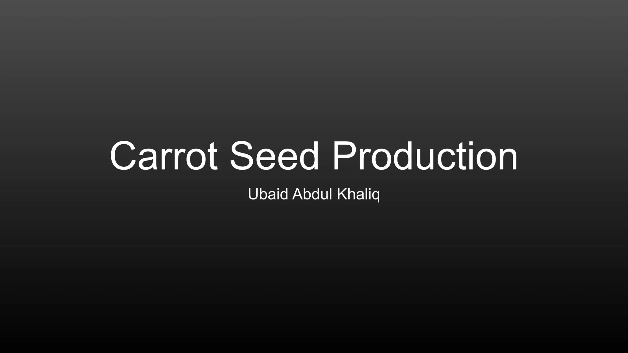 Carrot Seed Production PPT