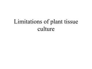 Limitations of plant tissue
culture
 