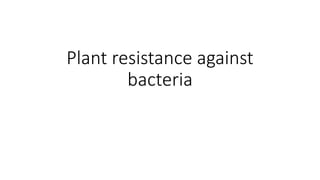 Plant resistance against
bacteria
 