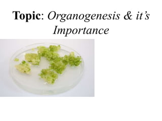 Topic: Organogenesis & it’s
Importance
 