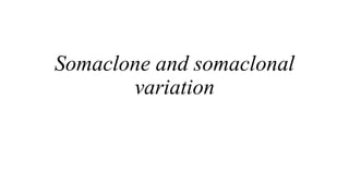 Somaclone and somaclonal
variation
 