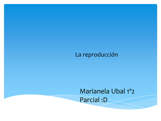 La reproducción




 Marianela Ubal 1º2
 Parcial :D
 