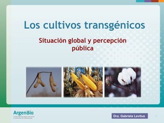 Nombre de presentación 1
Los cultivos transgénicos
Situación global y percepción
pública
Dra. Gabriela Levitus
 