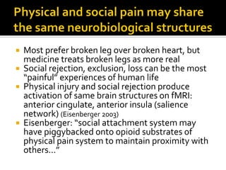 Pain and Opioids: damage and danger, mechanism and meaning