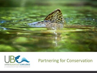 Partnering for Conservation 
 
