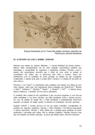 13
Esboço desenhado por S. Freud das células nervosas espinhais de
Petromyzon planerei (lampreia)
IV. O EFEITO DA COCA SOBRE ANIMAIS
Sabemos que animais de espécies diferentes - e mesmo indivíduos da mesma espécie -
diferem muito acentuadamente um do outro naquelas características químicas que
determinam a receptividade do organismo a substâncias estranhas. Portanto, como é
natural, não esperaríamos descobrir que o efeito da coca sobre os animais se
assemelhasse aos efeitos que se descrevem dela sobre o homem. Talvez nos
satisfaçamos com os resultados de nossa pesquisa na medida em que consigamos
compreender a maneira pela qual a cocaína afeta o homem e os animais de um ponto de
vista unívoco.
Devemos a von Anrep32
as experiências mais completas com relação aos efeitos da coca
sobre animais. Antes dele, tais experiências foram realizadas por Schroff pai,33
Moréno
y Maíz,34
Tarkhanov,35
Nikolsky,36
Danini,37
A Bennett38
e Ott38
A maioria desses
autores ministrava o alcaloide por via oral ou subcutânea.
O resultado mais comum de tais experiências é que, em doses pequenas, a coca tem um
efeito estimulante e, em doses elevadas, um efeito paralisante sobre o sistema nervoso.
No caso de animais de sangue frio, o efeito paralisante é particularmente observável,
enquanto em animais de sangue quente os sintomas de estimulação são mais aparentes.
Segundo Schroff, a cocaína provoca em rãs um estado soporífero, acompanhado de
paralisia dos músculos voluntários. Moréno y Malz, Nikolsky e Ott fizeram basicamente
a mesma descoberta. Moréno y Malz afirma que a paralisia geral resultante de doses
moderadas é precedida pelo tétano. Sob as mesmas condições, Nikolsky descreve uma
fase de excitação do sistema muscular, ao passo que Danini nunca observou espasmos.
 