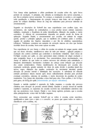 14
Von Anrep relata igualmente o efeito paralisante da cocaína sobre rãs, após breve
período de excitação. A princípio, são afetadas as terminações dos nervos sensoriais, e
por fim os próprios nervos sensoriais. No começo, a respiração se acelera e, em seguida,
sofre paralisação; o funcionamento do coração toma-se mais lento, até ser atingido o
ponto de colapso diast6lico. Doses de 2mg são suficientes para provocar sintomas de
envenenamento.
Segundo as descrições de Schroff das suas experiências com coelhos (que, nos
pormenores, são repletas de contradições), a coca produz nesses animais espasmos
múltiplos, respiração e freqüência de pulso intensificadas, dilatação das pupilas e morte
convulsiva. A eficácia do envenenamento dependia em grande escala da forma de
aplicação. Segundo Daniní, o envenenamento por cocaína, em animais de sangue
quente, produz a princípio agitação, que se manifesta em contínuos pulos e corridas,
seguida de paralisia das funções musculares e por fim de câimbras espasmódicas
(clônicas). Tarkhanov constatou um aumento da secreção mucosa em cães que haviam
recebido doses de cocaína, bem como açúcar na urina.
Nas experiências de von Anrep, o efeito da cocaína em animais de sangue quente, ainda
que em doses elevadas, manifestou-se antes de tudo por intensa , agitação psíquica e
excitação dos centros cerebrais que controlam o movimento voluntário. Após doses de
O,Olgde cocaína por quilo, os cães apresentam sinais evidentes de alegre excitação e
uma compulsão louca a se movimentar. Nas características dessa movimentação, von
Anrep vê indícios de que todos os centros nervosos são afetados pela estimulação, e
interpreta determinados movimentos oscilantes da cabeça como irrítação que procede
dos canais semicirculares. Outras manifestações da intoxicação por cocaína são:
respiração acelerada, grande aumento do ritmo do pulso devido à paralisia inicial dos
nervos vagos, dilatação das pupilas, aceleração do movimento intestinal, grande
elevação da pressão arterial e diminuição das secreções. A substância do músculo
estriado permanece intacta mesmo após doses suficientemente elevadas para produzir
eventuais convulsões, sintomas de paralisia, e morte decorrente da paralisia do centro
respiratório. Von Anrep não determina a dose letal para cães. Para coelhos, é de 0,10g e
para gatos, de 0,02g por quilo.[Administrada por injeção subcutânea]
Quando a medula espinhal é separada do bulbo raquiano, a cocaína não provoca
câimbras nem elevação da pressão arterial (Dnini), Quando a porção dorsal da medula
espinhal é separada, os espasmos da cocaína ocorrem nas extremidades anteriores mas
não nas posteriores (von Anrep). Danini e von Anrep supõem, portanto, que a cocaína
afeta principalmente a área vital do bulbo raquiano.
Devo acrescentar que somente Schroff pai se refere à cocaína como narcótico,
qualificando-a junto com o ópio e a cannabis, ao passo que quase todos os outros a
classificam com a cafeína, etc.
Cannabis sativa cafeína
 