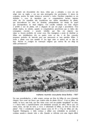 7
ele próprio um descendente dos incas, relata que, a princípio, a coca era um
artigo raro na região, e seu uso uma prerrogativa dos governantes. À época da
conquista, porém, há muito tornara-se acessível a todos. Garcilaso empenhou se em
defender a coca da interdição que os conquistadores haviam imposto
sobre ela. Os espanhóis não acreditavam nos efeitos maravilhosos da planta,
que desconfiavam ser obra do demônio, principalmente em virtude do papel
que desempenhava no ritual religioso. Um concílio realizado em Lima chegou
a proibir o uso da planta, sob a alegação de que era pagã e pecaminosa. Essa
atitude mudou, no entanto, quando os conquistadores perceberam que os índios não
conseguiam executar o pesado trabalho que lhes era imposto nas
minas se fossem proibidos de comer coca. Eles transigiram a ponto de distribuir as
folhas aos trabalhadores três ou quatro vezes ao dia, e de lhes conceder
pequenos períodos de intervalo para que mascassem as suas queridas folhas. E
assim a planta coca tem mantido O seu lugar entre os nativos até os dias de
hoje. Mesmo os vestígios da veneração religiosa que outrora lhe era dirigi da
ainda permanecem.6
mulheres reunindo coca planta deixa Bolívia - 1867
Em suas perambulações, o índio sempre carrega um feixe de folhas de coca (chamado
chuspa), bem como um frasco que contém cinza da planta (llicta)7
. Com as folhas, ele
molda, na boca, uma bola, que fura várias vezes com um espinho mergulhado8
na cinza,
e a masca lenta e caprichosamente com abundante secreção de saliva. Diz-se que, em
outras áreas, um tipo de terra, a tonra, é adicionado às folhas, ao invés da cinza da
planta9
. Não é considerado exagero mascar cerca de 85 a 115g de folhas por dia.
Segundo Mantegazza, o índio começa a utilizar esse estimulante na juventude e
continua usando-o durante toda a vida. Quando se defronta com uma viagem difícil,
 