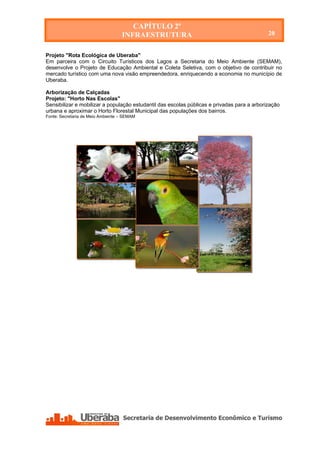 CAPÍTULO 2º
                                   INFRAESTRUTURA                                            20


Projeto "Rota Ecológica de Uberaba"
Em parceira com o Circuito Turísticos dos Lagos a Secretaria do Meio Ambiente (SEMAM),
desenvolve o Projeto de Educação Ambiental e Coleta Seletiva, com o objetivo de contribuir no
mercado turístico com uma nova visão empreendedora, enriquecendo a economia no município de
Uberaba.

Arborização de Calçadas
Projeto: "Horto Nas Escolas"
Sensibilizar e mobilizar a população estudantil das escolas públicas e privadas para a arborização
urbana e aproximar o Horto Florestal Municipal das populações dos bairros.
Fonte: Secretaria de Meio Ambiente – SEMAM
 