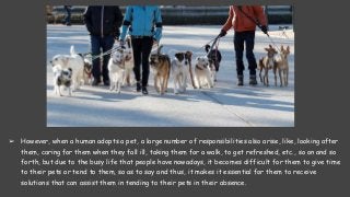 ➢ However, when a human adopts a pet, a large number of responsibilities also arise, like, looking after
them, caring for them when they fall ill, taking them for a walk, to get refreshed, etc., so on and so
forth, but due to the busy life that people have nowadays, it becomes difficult for them to give time
to their pets or tend to them, so as to say and thus, it makes it essential for them to receive
solutions that can assist them in tending to their pets in their absence.
 