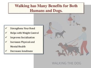 Walking has Many Benefits for Both
Humans and Dogs.
 Strengthens Your Bond
 Helps with Weight Control
 Improves Socialization
 Increases Physical and
Mental Health
 Decreases loneliness
 