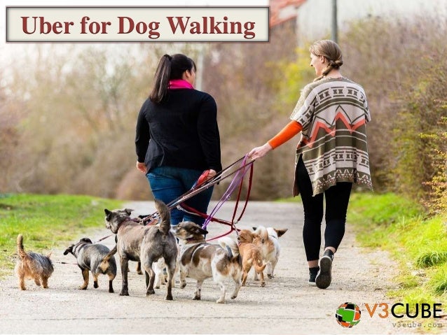 uber for walking uber for walking uber for walking uber for walking