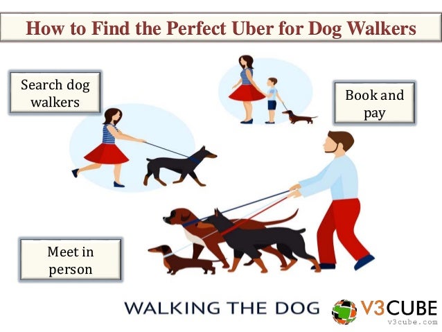 uber for walking uber for walking uber for walking uber for walking