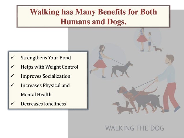 uber for walking uber for walking uber for walking uber for walking