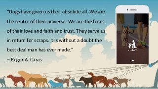 “Dogs have given us their absolute all. We are
the centre of their universe. We are the focus
of their love and faith and trust. They serve us
in return for scraps. It is without a doubt the
best deal man has ever made.”
– Roger A. Caras
 