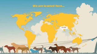 We are located here…
our office
 