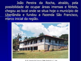 João Pereira da Rocha, atraído, pela possibilidade de ocupar áreas imensas e férteis, chegou ao local onde se situa hoje o município de Uberlândia e fundou a Fazenda São Francisco, marco inicial da região. 