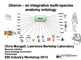 Uberon – an integrative multi-species
anatomy ontology
Chris Mungall, Lawrence Berkeley Laboratory
Monarch Initiative
Gene Ontology Consortium
Phenoscape
EBI Industry Workshop 2013
 