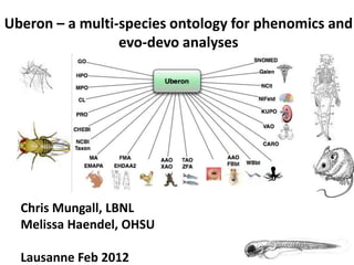 Uberon – a multi-species ontology for phenomics and
                 evo-devo analyses




  Chris Mungall, LBNL
  Melissa Haendel, OHSU

  Lausanne Feb 2012
 